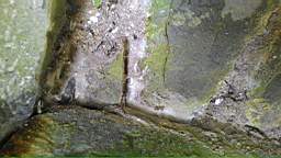 acastle
                          104935.jpg